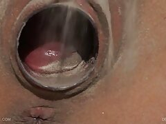 アナルたわごと エロ アニメ 男 が 女 に
